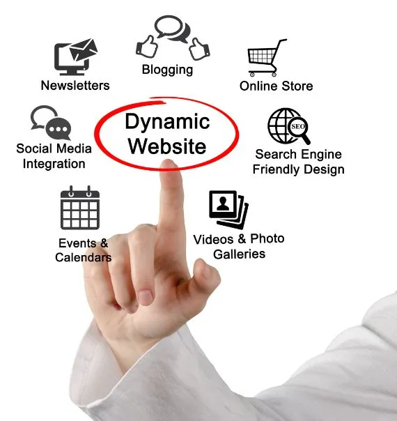 dynamic web design img